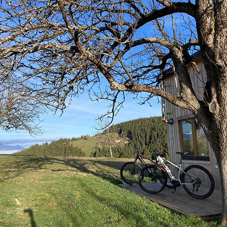 Tiny House Villa Mislinja Kültér fotó