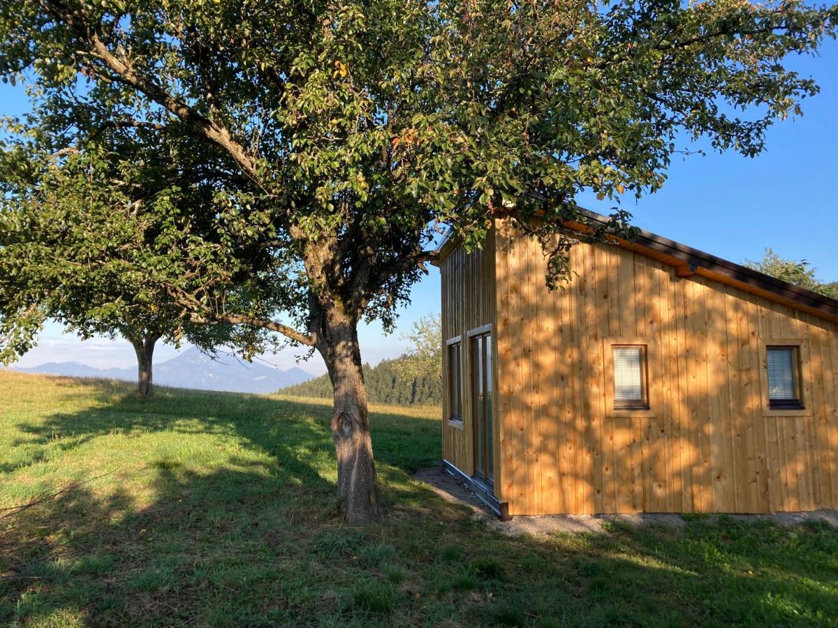 Tiny House Villa Mislinja Kültér fotó