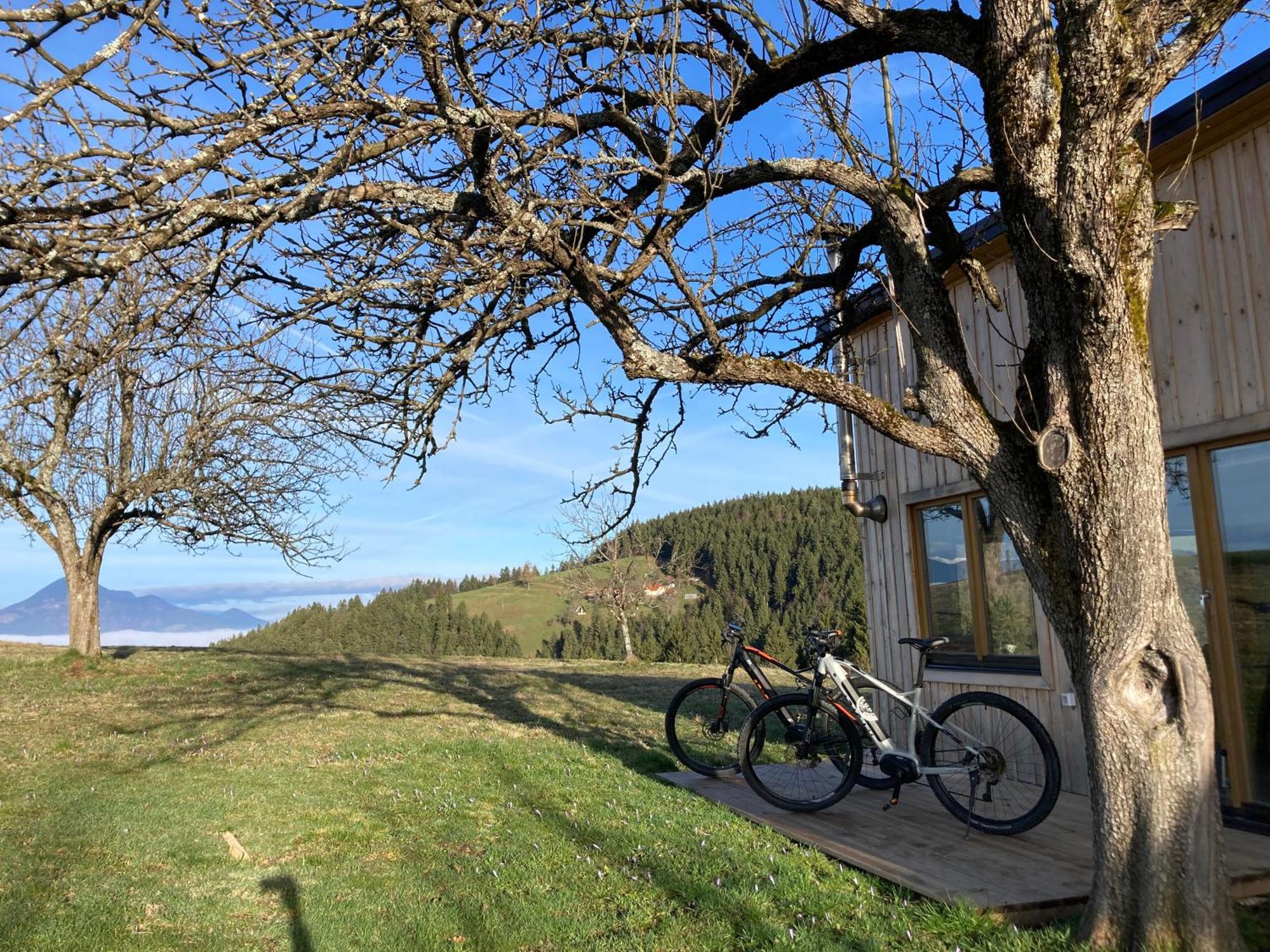 Tiny House Villa Mislinja Kültér fotó